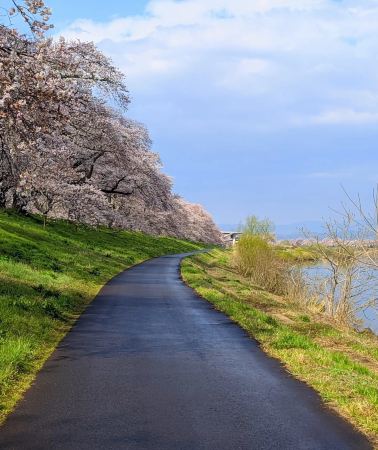 7D6N • Sendai - Miyagi - Yamagata Prefecture -  Iwate Prefecture - Yamagata Prefecture - Miyagi
