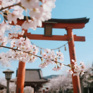 日本大阪+和歌山市3日2晚私家团