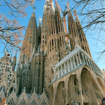 大加那利岛+特内里费岛+马德里9日8晚拼小团