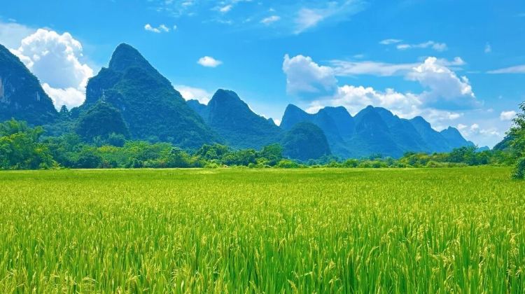 6D5N · Group Tours ·  Include all tips + China's Most Beautiful Scenic Route: Guilin Li River 4-star Cruise + Longji Rice Terraces include round-trip cable car + Yangshuo