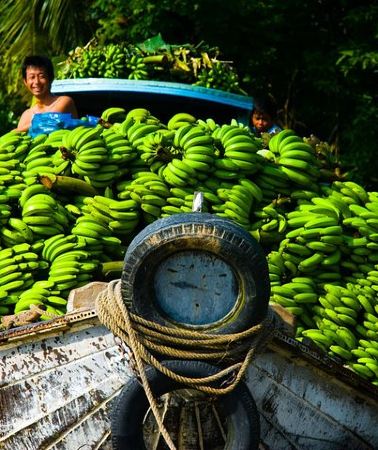 2D1N • 2-day My Tho boat trip & Cai Rang floating market (Overnight in Can Tho)