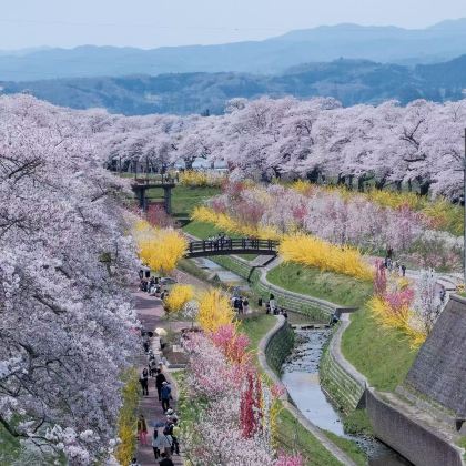 日本仙台5日4晚私家团