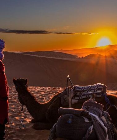 3D2N • 3 Days from fes to marrakech desert Tour 2 Nights