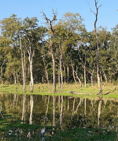 4D3N • 3 Nights 4 Days Comfortable Chitwan Safari Tour