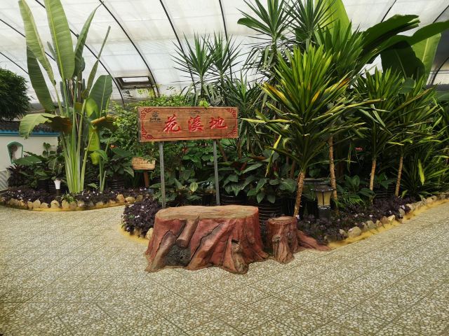 花溪地温泉生态植物乐园(暂停开放)旅行图片 3