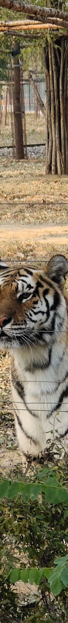 秦皇岛野生动物园-秦皇岛