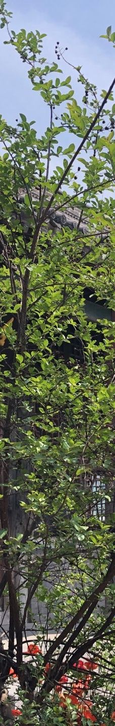 马氏庄园-安阳县