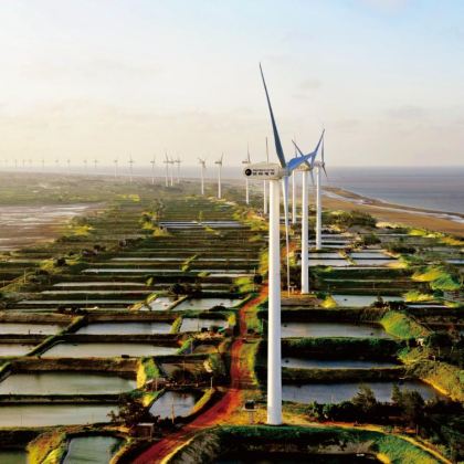 广东湛江+中国大陆南极村+菠萝的海+硇洲岛5日4晚拼小团