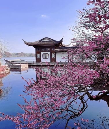 6日5晚 • 杭州西湖·雷峰塔·烏鎮東西柵·蘇州博物館·拙政園·上海東方明珠·南京路·外灘，一線串聯滬杭蘇經典景點