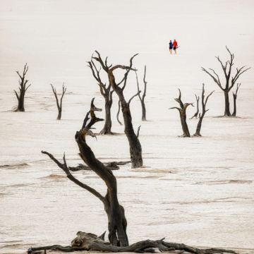 纳米比亚温得和克+纳米布沙漠+鲸湾港+戈巴比斯9日7晚私家团