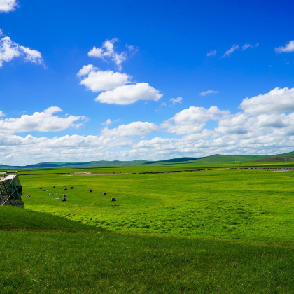 呼和浩特+希拉穆仁草原+鄂尔多斯+响沙湾+成吉思汗陵5日4晚跟团游