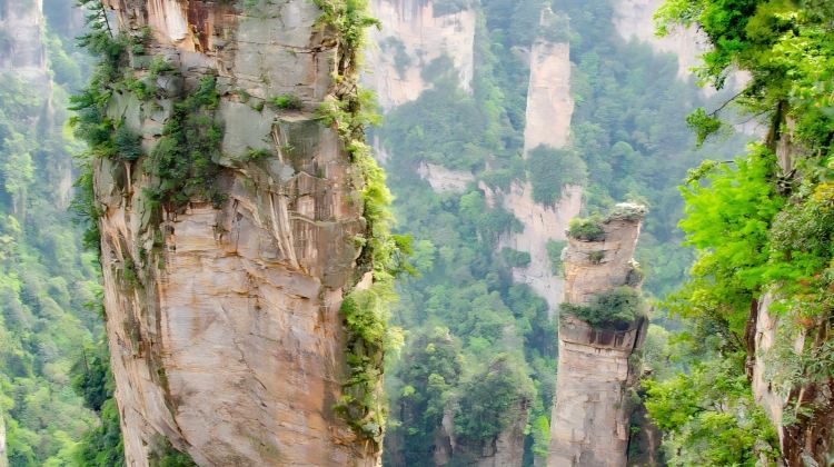 3D2N · Private Tours · Visit Zhangjiajie National Forest Park, Grand Canyon Glass Bridge and Tianmen Mountain, including two nights of 4-diamond accommodation.