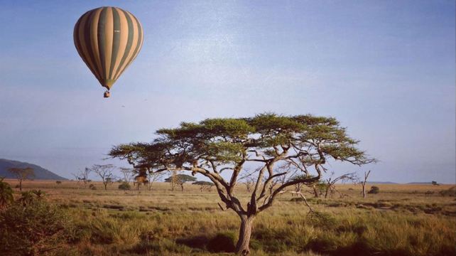 6-Day Tanzania Camping Adventure Tour from Arusha·Mto wa Mbu Community Visit | Ngorongoro | Serengeti National Park