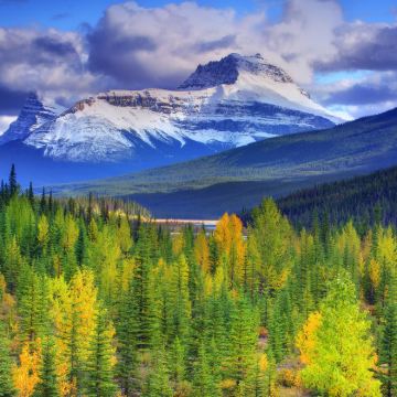 加拿大温哥华+蒙特利尔+魁北克城+多伦多尼亚加拉瀑布+东西海岸+四大国家公园15日14晚跟团游