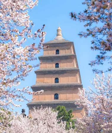 7 天•秦始皇帝陵博物院(兵馬俑)+少林寺+龍門石窟+河南博物院