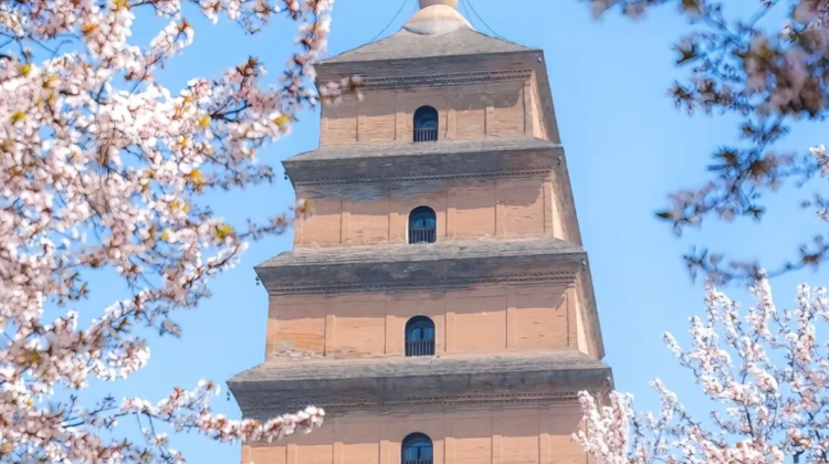 4-D Private Tour: Xi'an, Emperor Qinshihuang's Mausoleum Site Museum, Xi'an City Wall·  