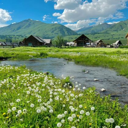 新疆北疆+乌鲁木齐+可可托海景区+喀纳斯景区+禾木风景区+赛里木湖9日8晚私家团