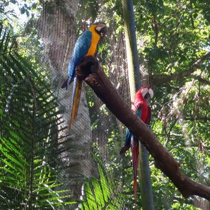 巴西里约热内卢+伊瓜苏瀑布6日5晚拼小团