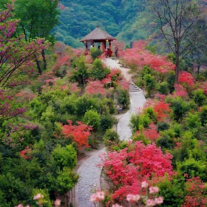 安徽六安3日2晚自由行