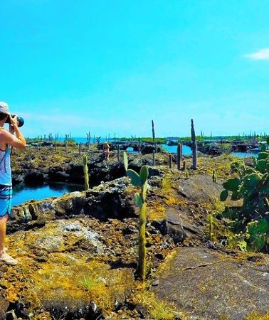 7D6N • 7 Day Galapagos Island Hopping Tour