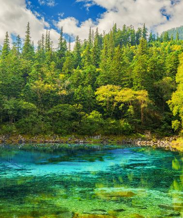 6D5N • A Chengdu-Chongqing cultural tour featuring an 8-person mini no-shopping group, covering Chongqing, Chengdu, Jiuzhaigou, the Panda Base and Huanglong