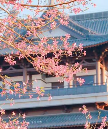 8天7晚 • 廣東廣州＋珠海＋深圳＋惠州＋佛山＋潮州＋汕頭＋南澳島 ｜廣東全境深度遊