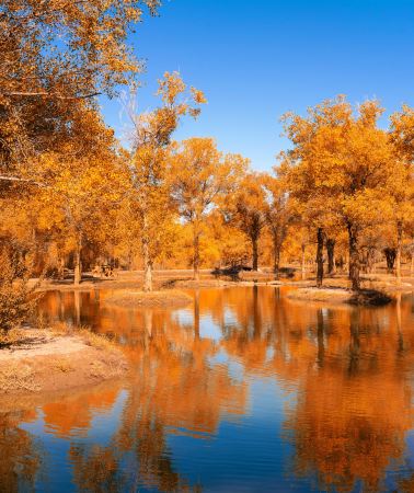 8D7N • Xinjiang & Southern Xinjiang: Urumqi + Tashkurgan + Kashgar City + Kuqa + Pamir Plateau + Korla