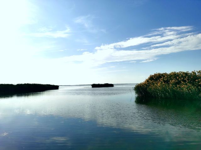 乌梁素海生态旅游景区(暂停开放)旅行图片 4