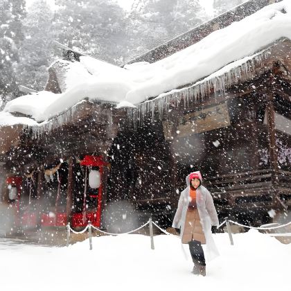 日本银山温泉+藏王树冰+宫城藏王黑帽子度假村+宫城藏王狐狸村+白银瀑布3日2晚私家团