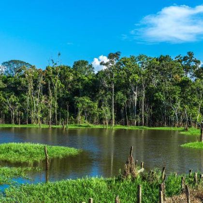 巴西圣保罗+马瑙斯6日4晚私家团