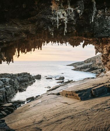 2日1晚 • 澳洲南澳州袋鼠島