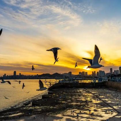 大连+沈阳+金石滩度假区5日4晚私家团