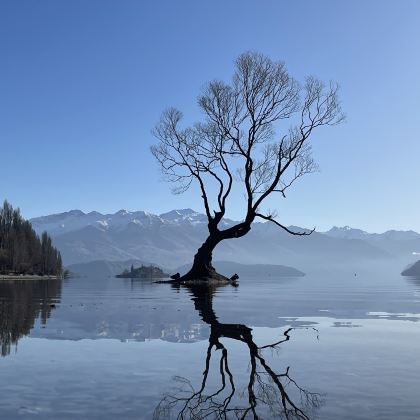 新西兰南岛5日4晚私家团