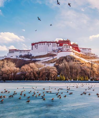 4D3N • Flight and Train Ticket Bookings Available: Tibet + Lhasa + Potala Palace + Jokhang Temple + Sera Monastery + Drepung Monastery