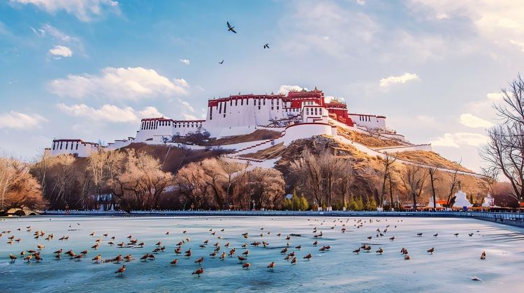 4D3N · Group Tours · TibetLhasa + Potala Palace + Jokhang Temple + Sera Monastery + Drepung Monastery