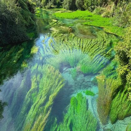 新西兰南岛+北岛13日12晚私家团