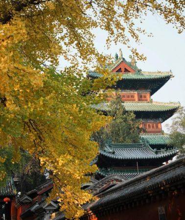 5日4晚 • 「河南＋西安」中原古都 5天升純團 登封「少林寺賞銀杏」 洛陽「龍門石窟」