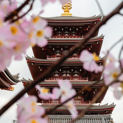 日本京都+大阪6日5晚私家团