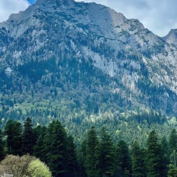 罗马尼亚9日8晚私家团