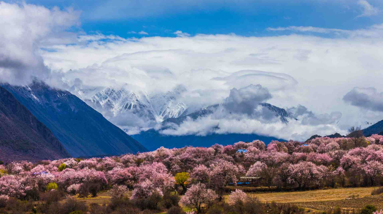 9D8N · Group Tours · Chian + Tibet + Lhasa + Potala Palace + Nyingchi + Basum Tso + Laigu Glacier + Lulang Forest + Bomi + Yamdrok Lake 