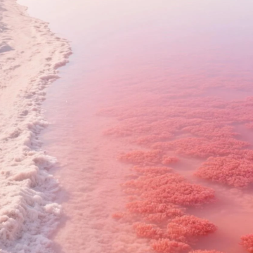 澳大利亚6日5晚私家团