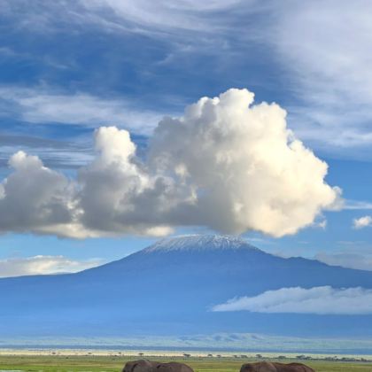 肯尼亚+乌干达+南非11日10晚私家团