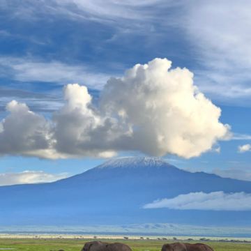 肯尼亚+乌干达+南非15日14晚私家团