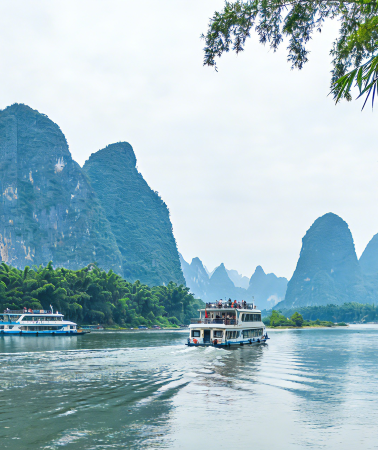 2D1N • Guilin + Yangshuo + Li River Cruise: Tea-picking experience at Tea Garden