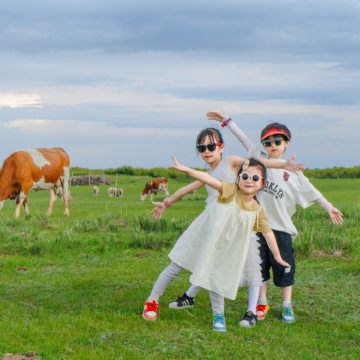 张家口+承德+塞罕坝国家森林公园+乌兰布统旅游区5日4晚拼小团