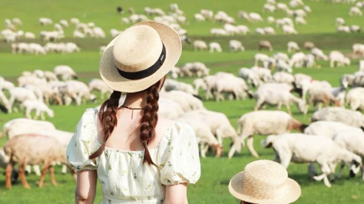 呼伦贝尔+额尔古纳+满洲里6日5晚跟团游·2N香格里拉+蒙古包/B线可选套娃酒店+9人小团+骑马+滑草+驯鹿+马之舞+0购物0自费