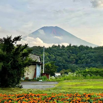 日本东京+富士山+箱根5日4晚私家团