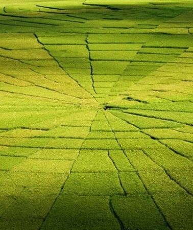 2D1N • Wae Rebo Trekking Tour from Labuan Bajo – Village Experience