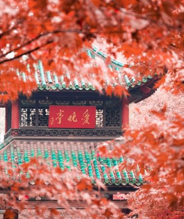 3D2N • 6-Person Group & Changsha: Orange Isle + Shaoshan Mao'Zedong Memorial Museum + Hunan Provincial Museum