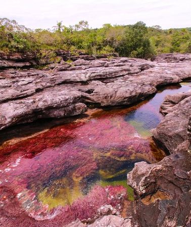 3D2N • 3-Day Trip to Caño Cristales from Bogota